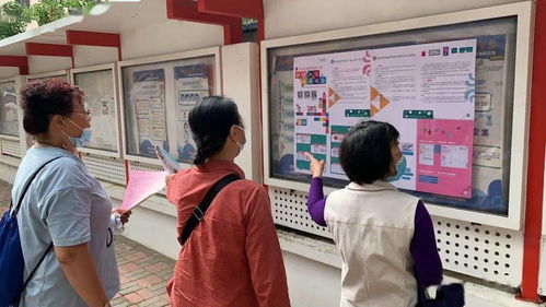 政策入民心，服務零距離——市南區招生政策宣傳教育服務深入街道社區